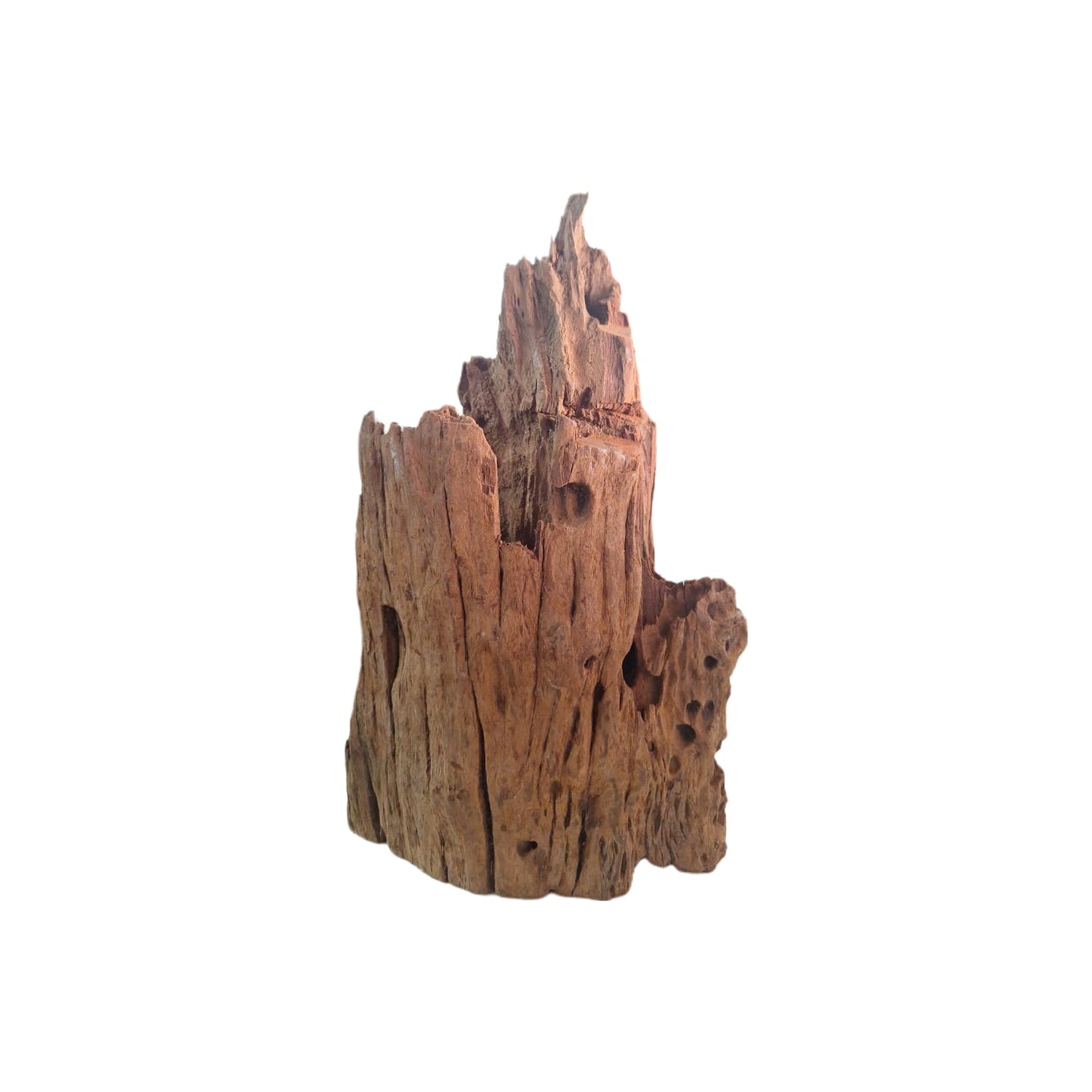 Legno Driftwood