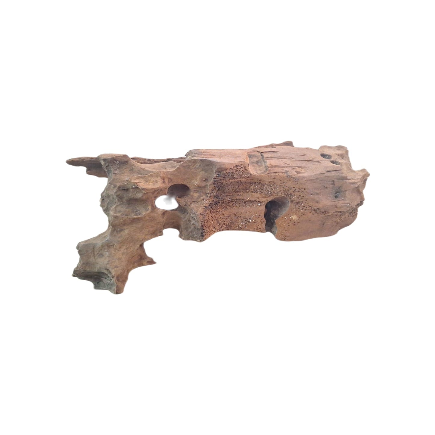 Legno Driftwood