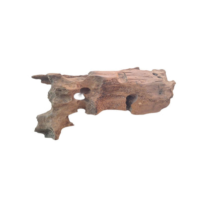 Legno Driftwood
