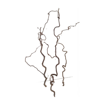 Ramo Curly 70-80 cm set di 3 pezzi