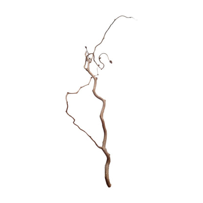 Ramo Curly 70-80 cm set di 3 pezzi