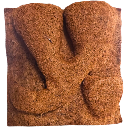 Pannello sfondo fibra di cocco con portapiante